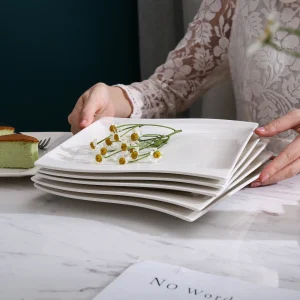6 Piece 10.25" Dinner Plates